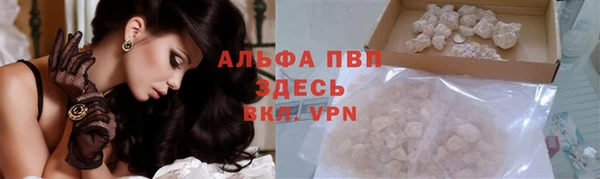 apvp Вяземский