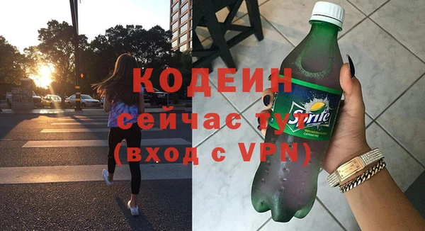 apvp Вяземский